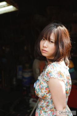 y36手机多少钱一部