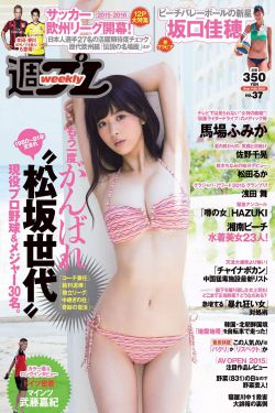 追风者电视剧免费观看完整版高清